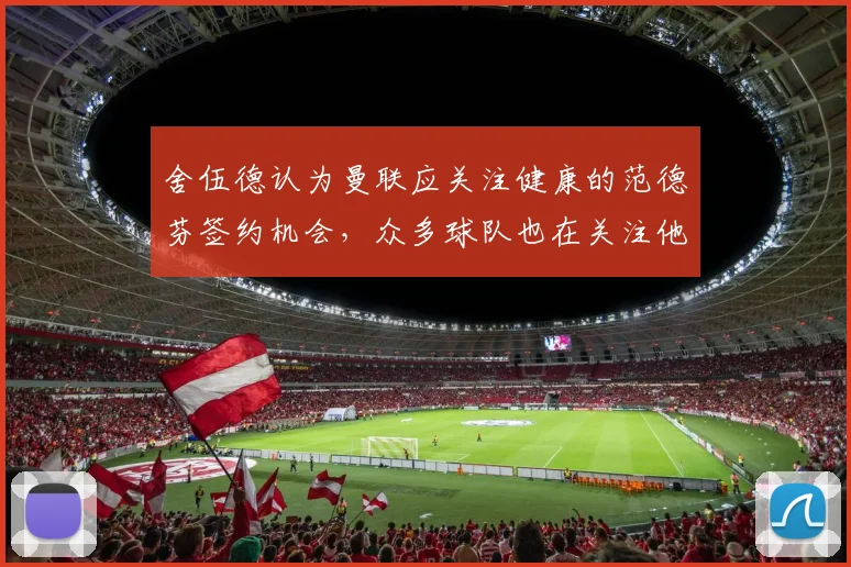 舍伍德认为曼联应关注健康的范德芬签约机会，众多球队也在关注他